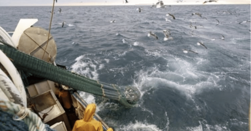 底引網漁の弊害