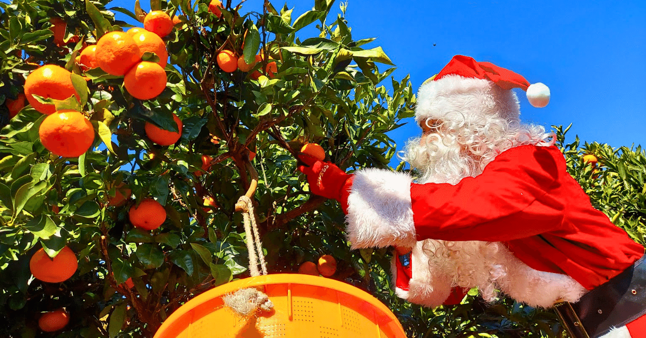 ぼくがサンタになったきっかけ｜tomohiro nagase