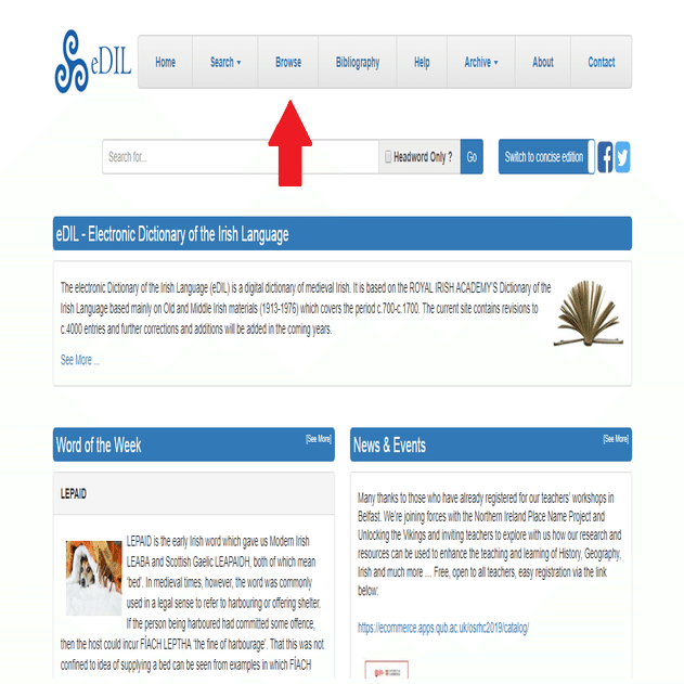 古いアイルランド語を辞書で引く｜ケルト神話翻訳マン