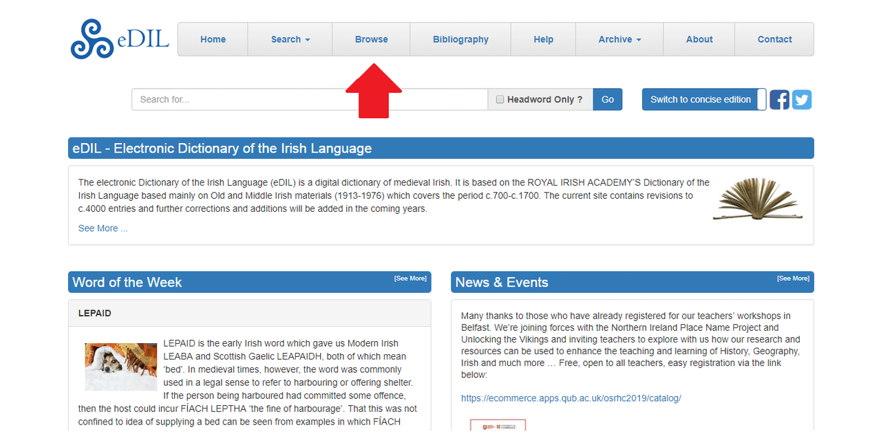 古いアイルランド語を辞書で引く|ケルト神話翻訳マン 古いアイルランド語を辞書で引く|ケルト神話翻訳マン