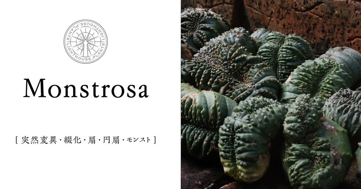 MONSTROUSA - モンストローサ】綴化、石化、モンスト。突然変異