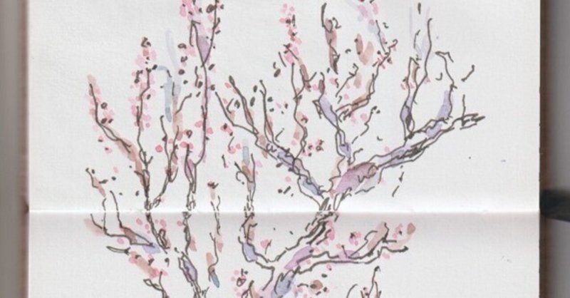 絵を描く手帳に「梅の花」？を描きました