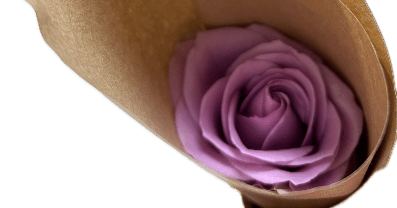 紫のバラ 〜ナイチンゲール〜｜つむぎ