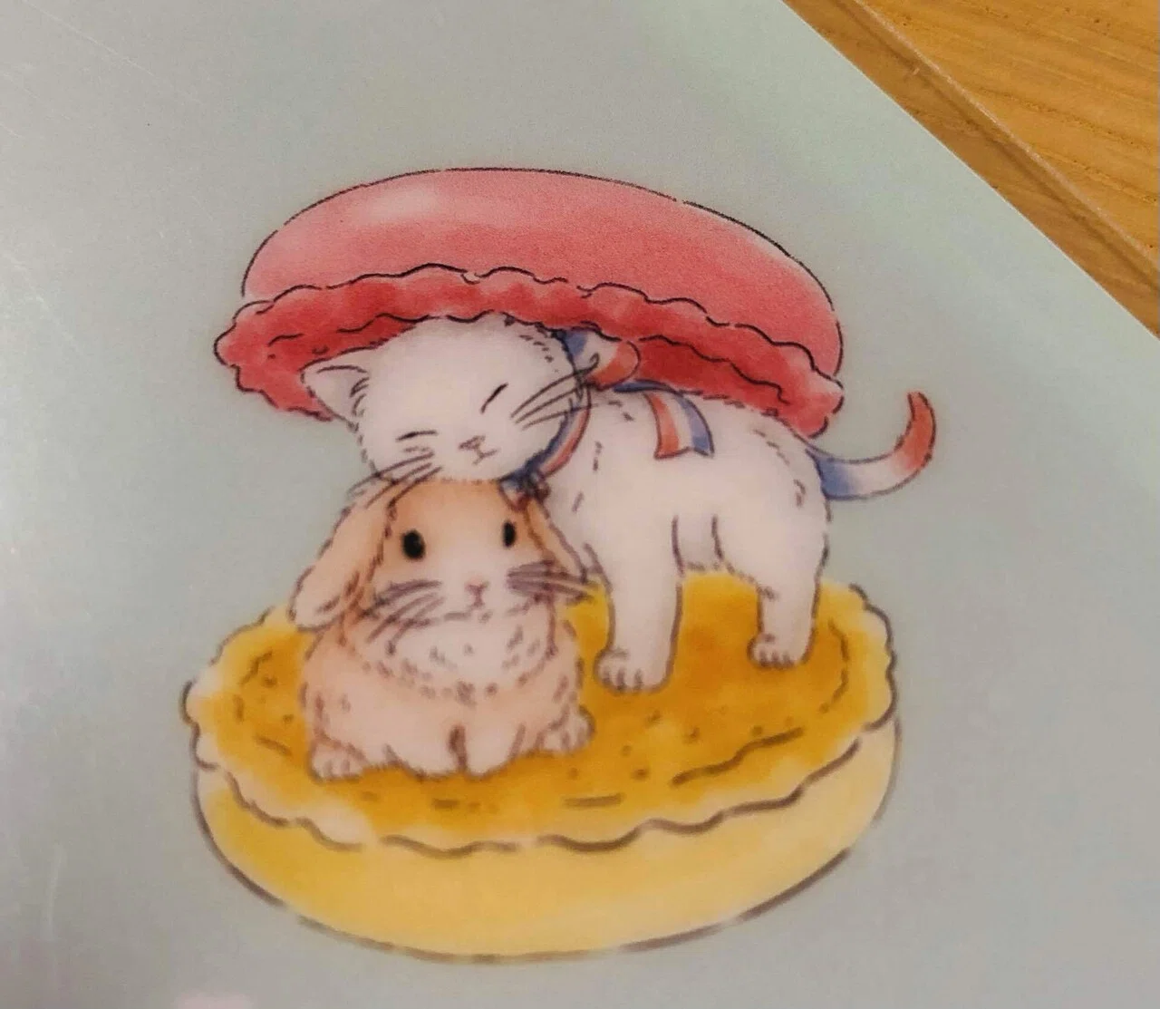 ネコとマカロン。｜ねこ山ねこ子