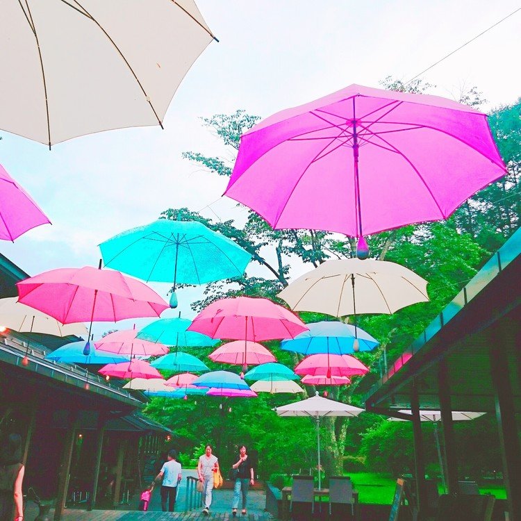 梅雨明けがもう少し先ですが、梅雨でも素敵な景色はあるなぁ…と🎶