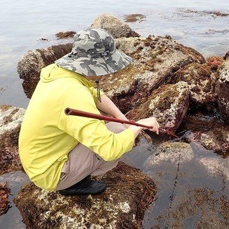 玉置標本:私的標本