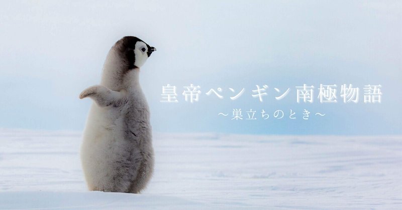 皇帝ペンギン南極物語④巣立ちのとき