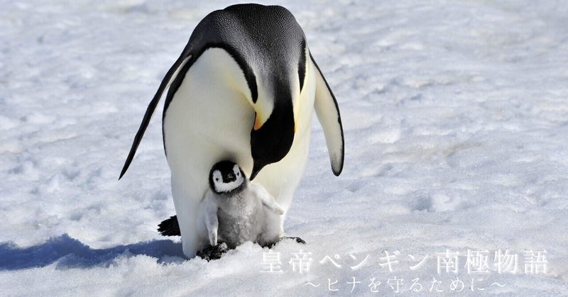 皇帝ペンギン南極物語③ヒナを守るために