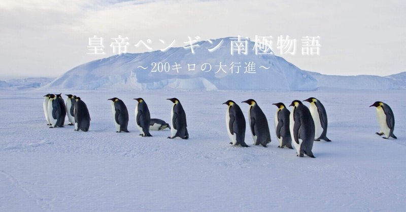 皇帝ペンギン南極物語②200キロの大行進