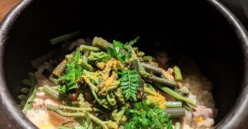 犬vs 狼 猫vs ライオン さて どっちが人にとって安全か という話 キクチ シン Note