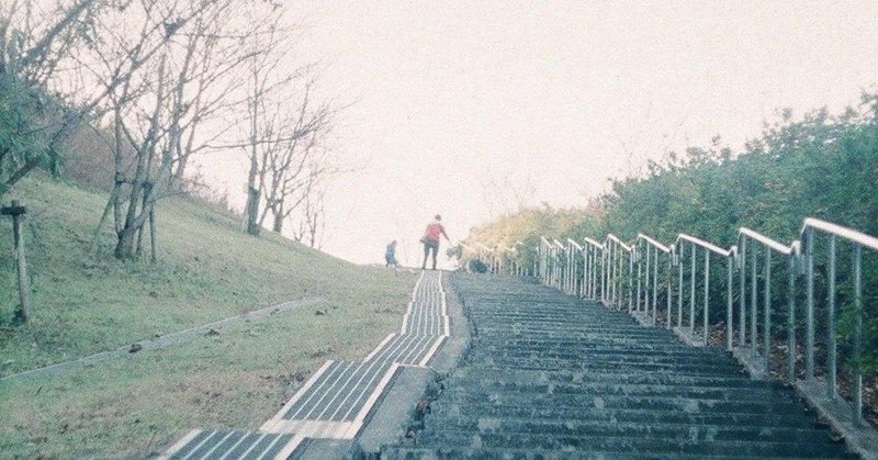アルビノで生きていく覚悟 この顔と生きるということ を読んで 雁屋優 Note