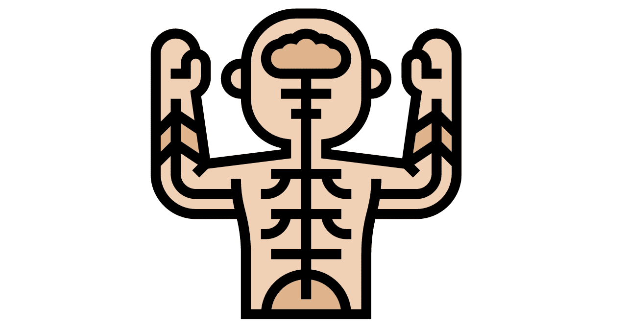 神経系モビライゼーション:どのくらい滑る？」｜Daikumi＠理学療法士