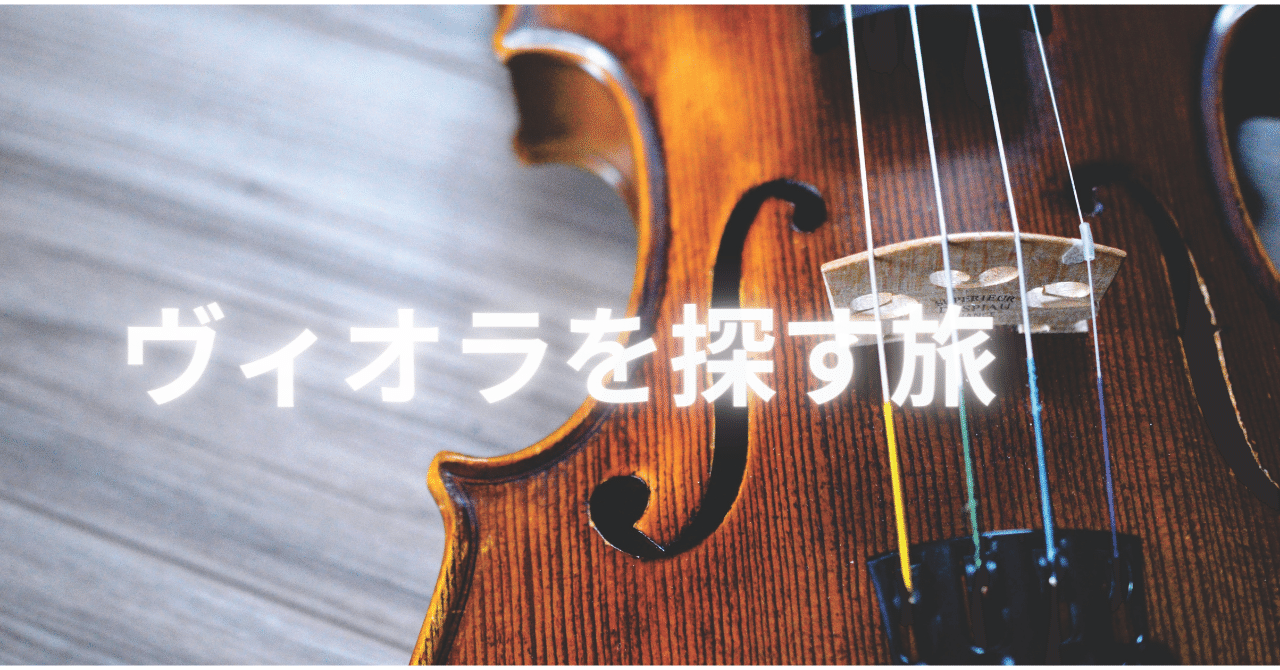 ヴィオラを探す旅｜Sakura