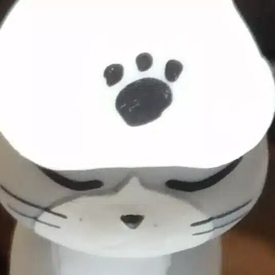 灰かぶりの猫