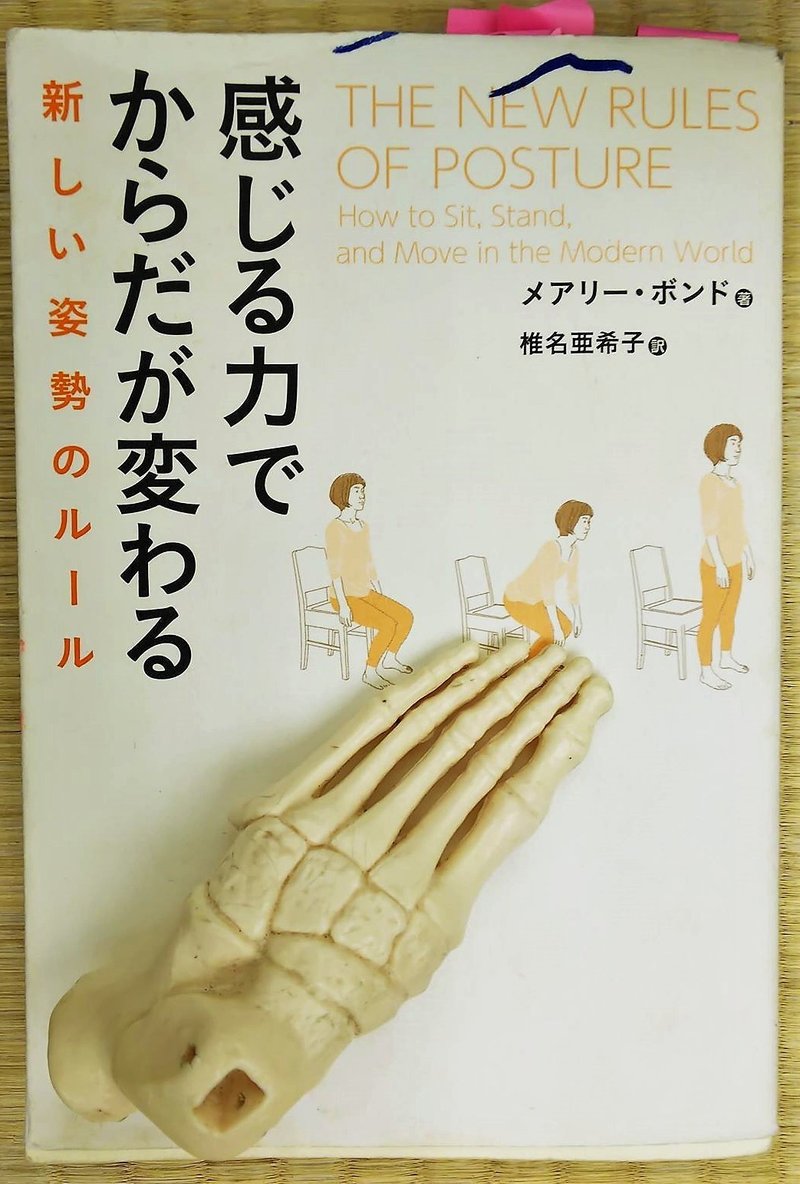 藤田一照仏教塾 道元からライフデザインへ 19 06 学習ノート ひろさん Note 藤田一照仏教塾 道元からライフデザインへ 19 06 学習ノート ひろさん Note