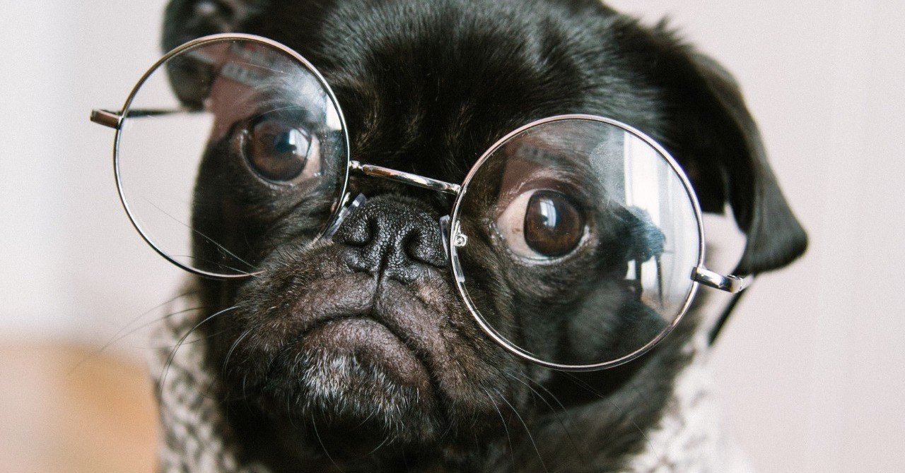 知的な五つの態度 柏木誠 プロジェクトデザイナー Note