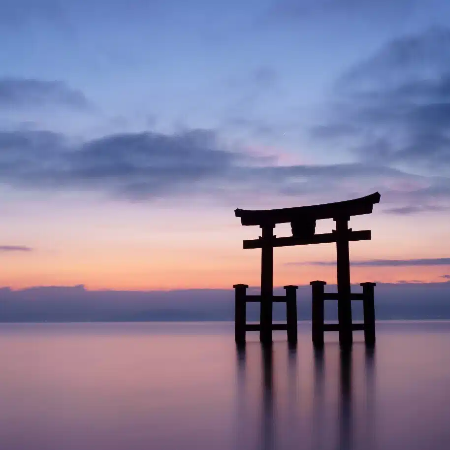 Hiro Oaks / 日々の雑感