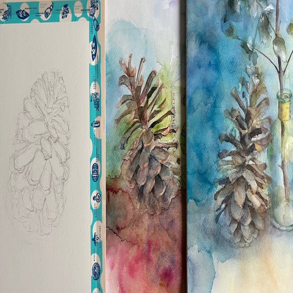 松ぼっくりを描く｜水沼