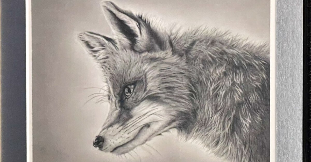 狐の鉛筆画 （魅惑的なアート: 鮮やかな背景にアカギツネを描い