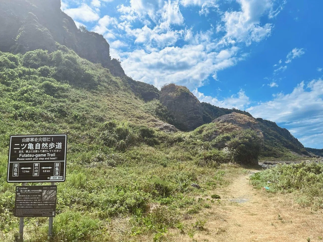 佐渡島レポ】二ツ亀自然歩道を通り大野亀へ行く｜仕方がない。