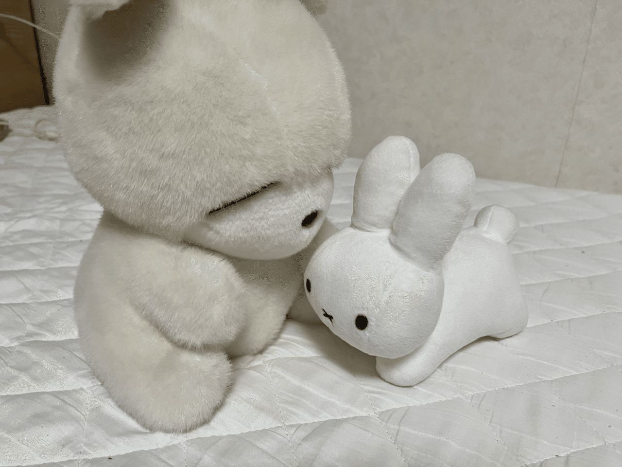 うちに住むぬいぐるみたち｜夢羽
