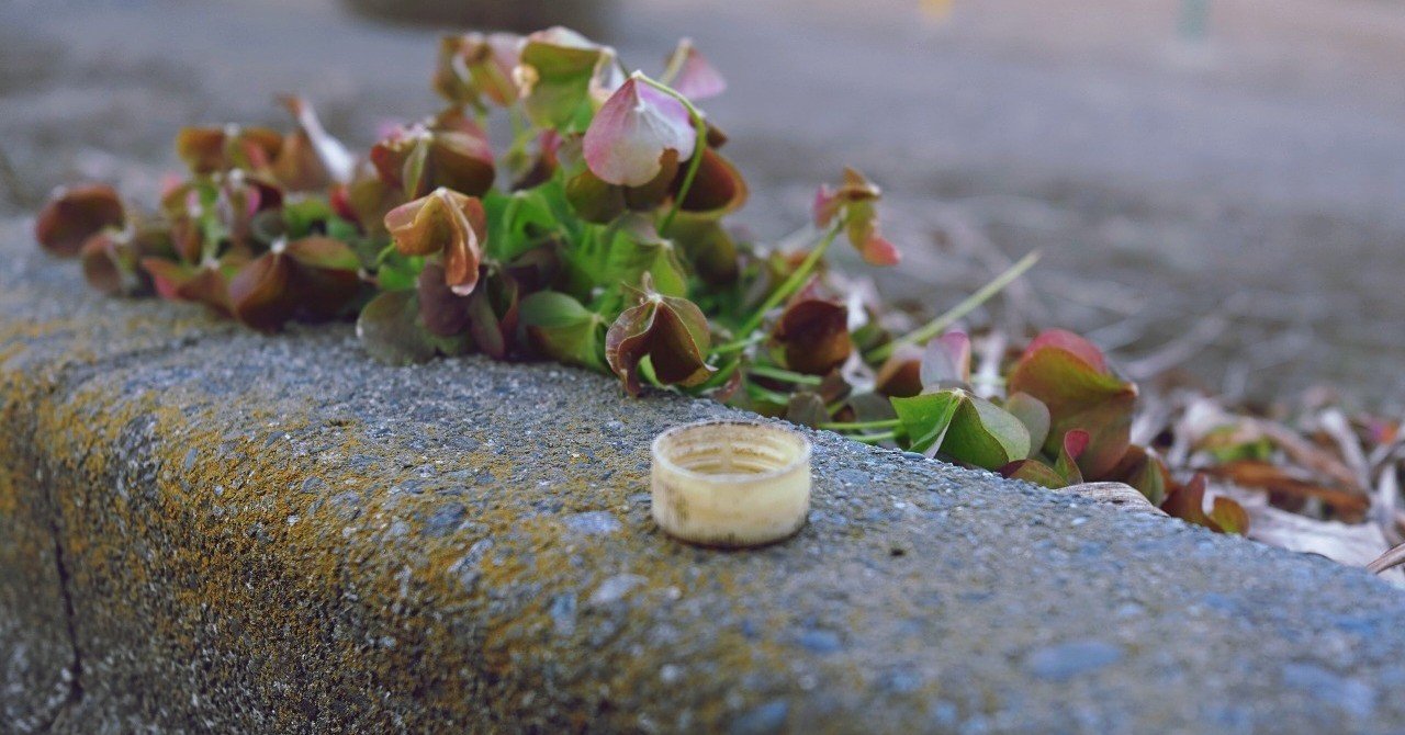 美しい自然を守るために ハワイでペットボトルをリサイクルしてみよう ハワイ先生 note