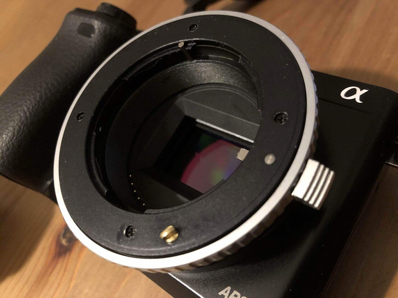 contax carl zeiss biogon 28mm f2.8アダプター付 Amazon | CONTAX Carl Zeiss BiogonT* 28mm F2.8 | コンパクト 通販