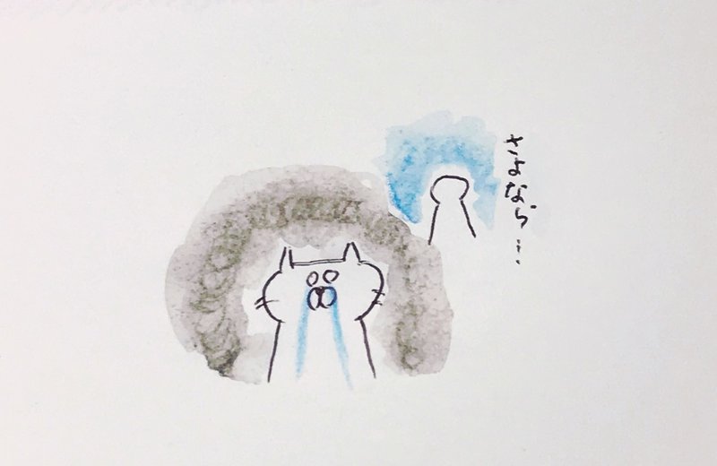 ねこカノの悲しい恋愛遍歴 ねこカノ Note
