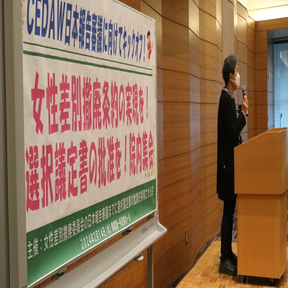 完成品 賃金格差、堕胎罪、夫婦同姓……女性差別の課題が山積 私たちには 政治学