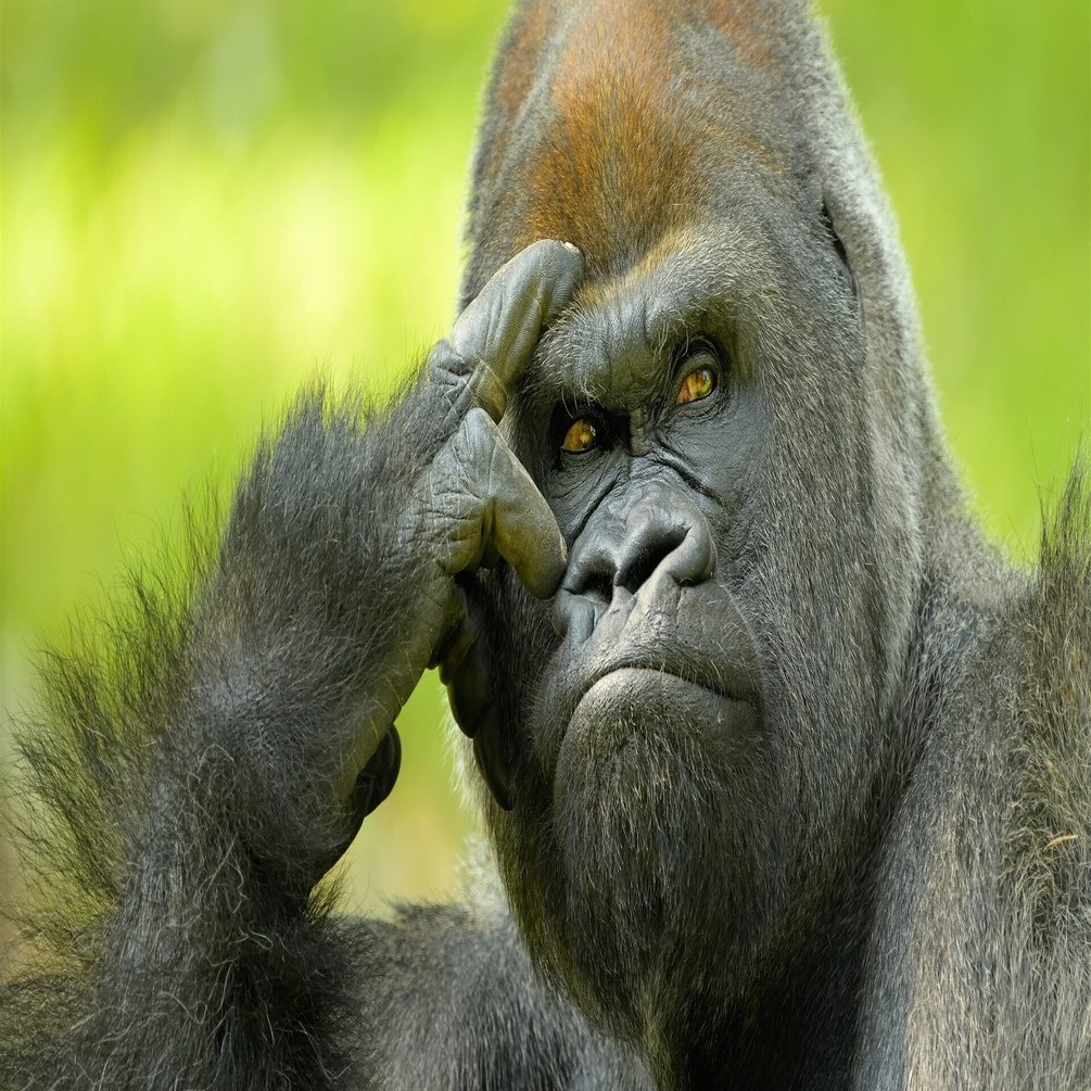 rectangle_large_type_2_be0461f