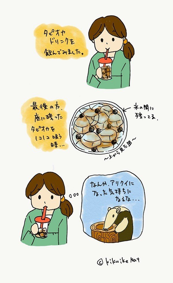 （今さらかもしれませんが）先日タピオカドリンクを飲んできました。あれって、太いストローでドリンクとタピオカを吸うけど、最後にタピオカだけ少し残るんですよね。氷の間に残ったタピオカを吸うのは、 アリクイがアリを吸うのってこんな感じの気持ちなのかな…と ちょっと思ったのでした。（ドリンクはおいしかったです）