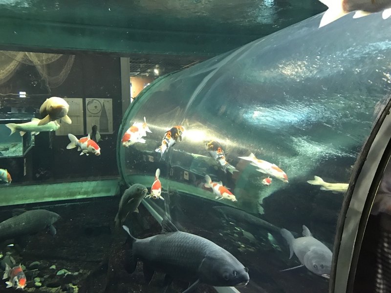 道の駅みなかみ水紀行館 Rune Sakurai Note