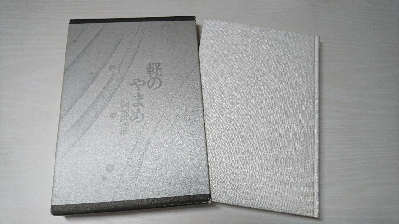 鑑賞︰阿部完市『軽のやまめ』｜丸田洋渡