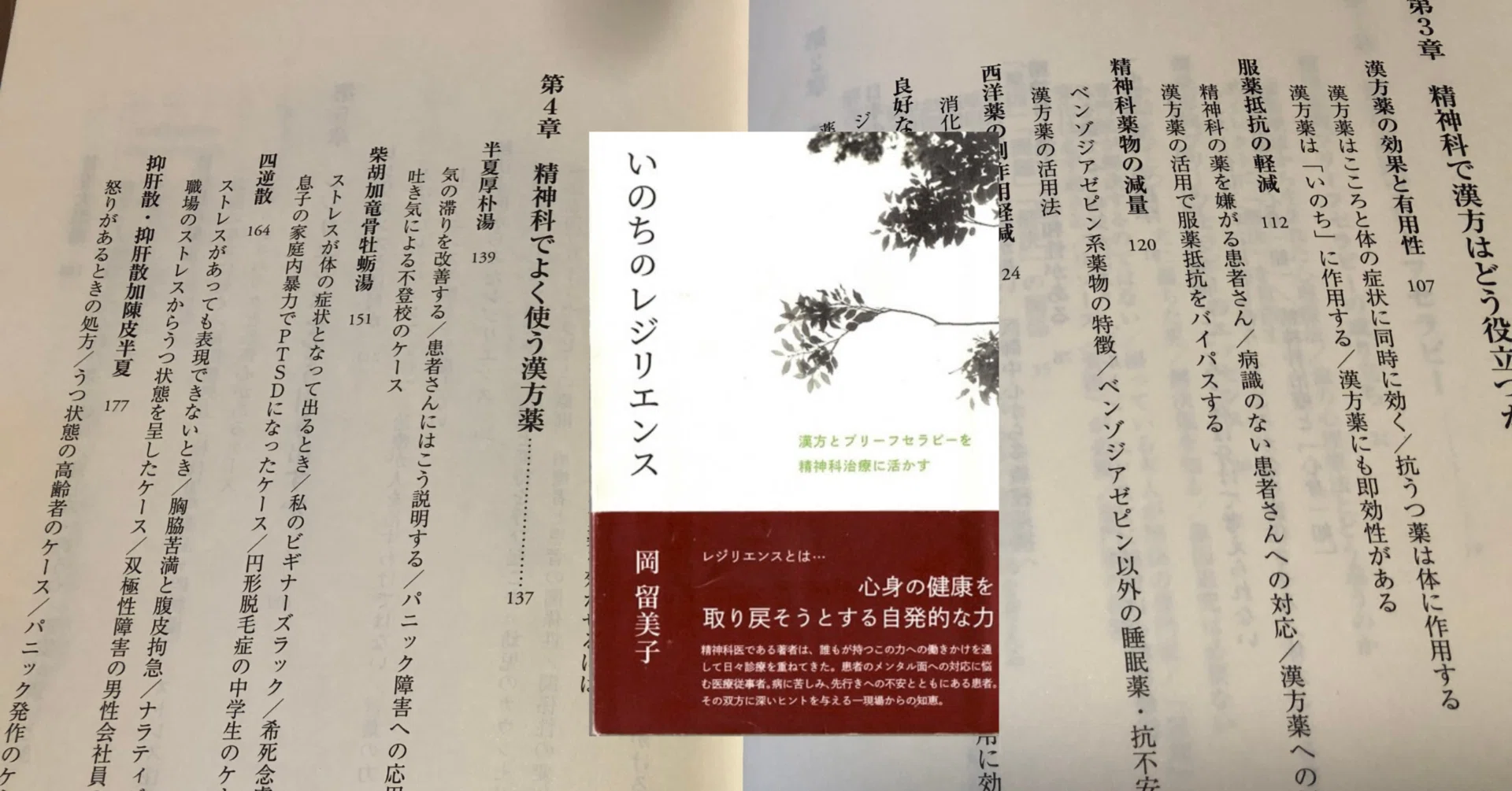 いのちのレジリエンス』 漢方とブリーフセラピーを精神科治療に生かす