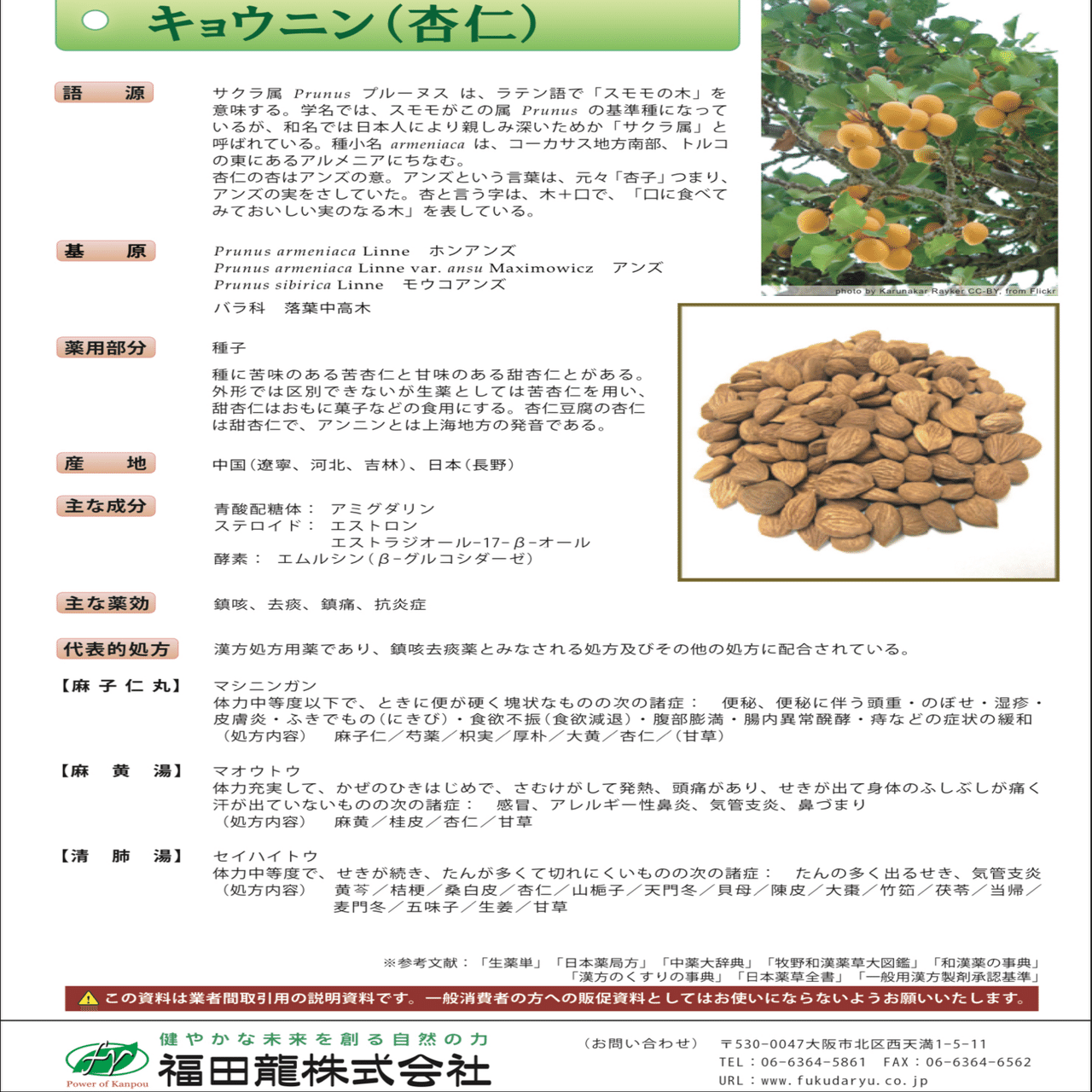 草花】あんず(杏) ( 種子は生薬：杏仁［キョウニン］)｜200im