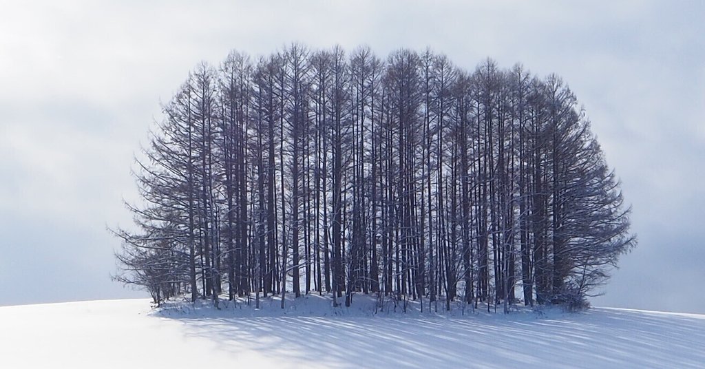 ヴァランシエンヌ
