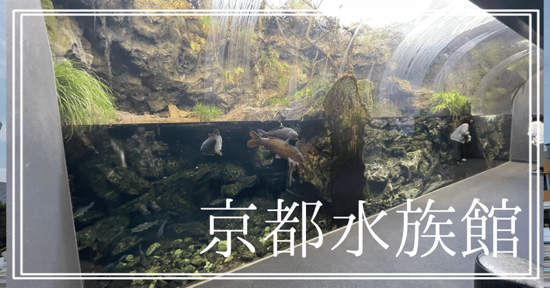 次はこの水族館の時代です！京都水族館で全エリアを見て回ろう【前編】