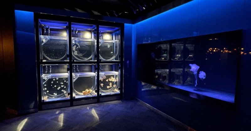 水族館好きによる『京都水族館』で絶対に見て欲しい場所ランキング