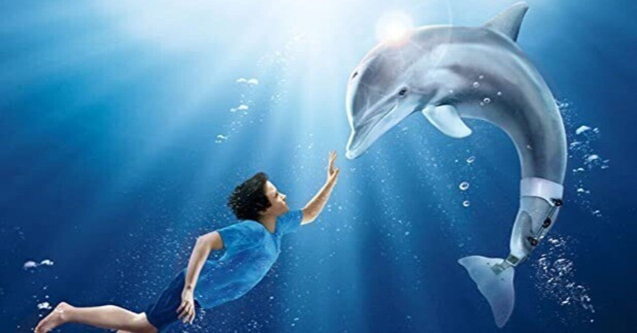 【忘却度100％】イルカと少年｜アッシュ・スミス 【忘却映画館】