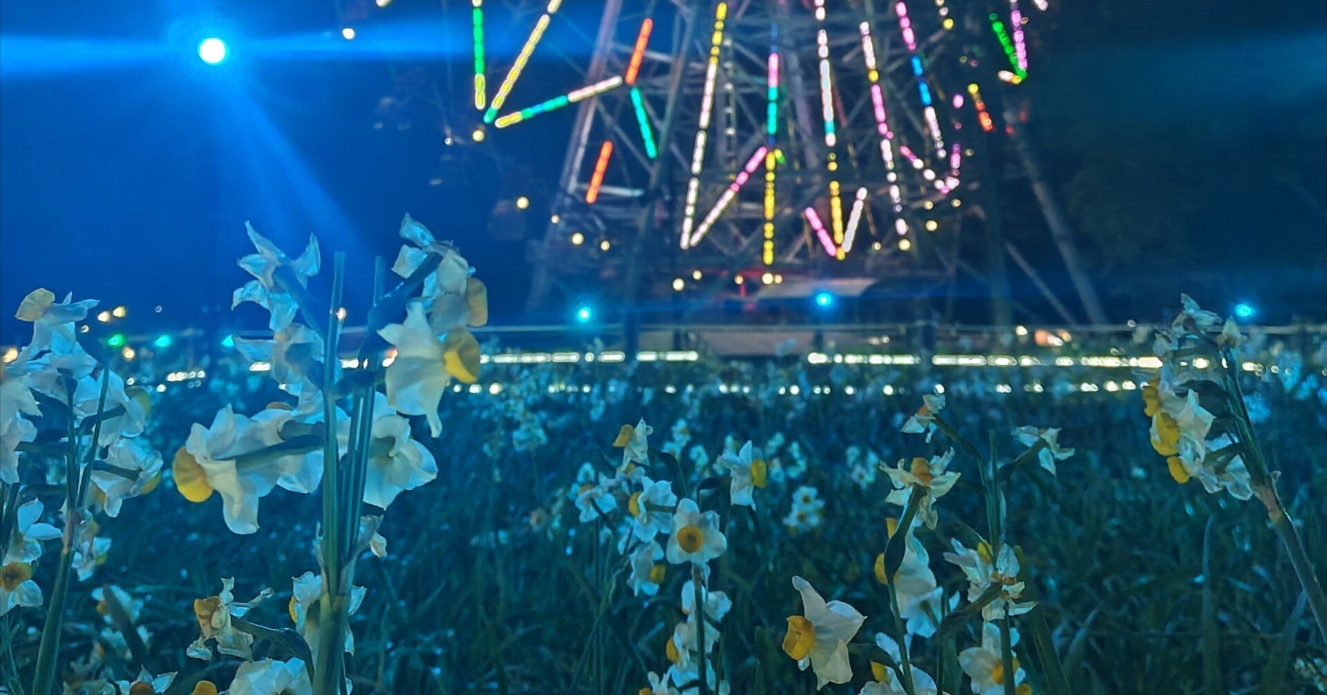 photo diary】水仙ライトアップ〈葛西臨海公園〉｜深拍-mihaku-