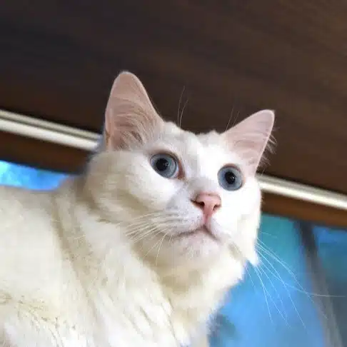 田中隆信