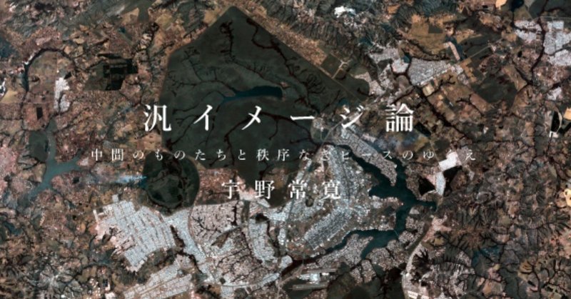 宇野常寛　汎イメージ論――中間のものたちと秩序なきピースのゆくえ　最終回　「汎イメージ」の時代と「遅いインターネット」（1）