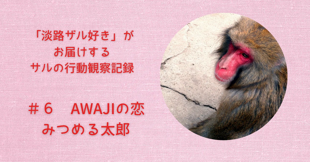 6 AWJIの恋💖 みつめる太郎｜sora.11