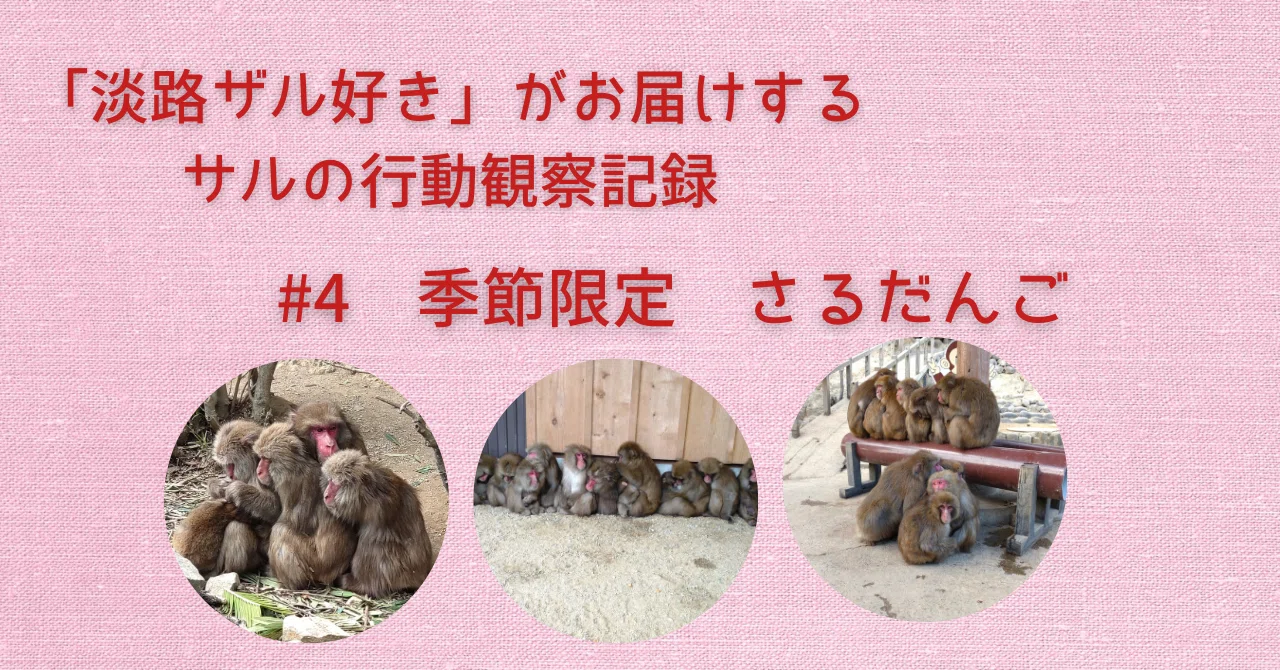 4 季節限定🍡さるだんご｜sora.11