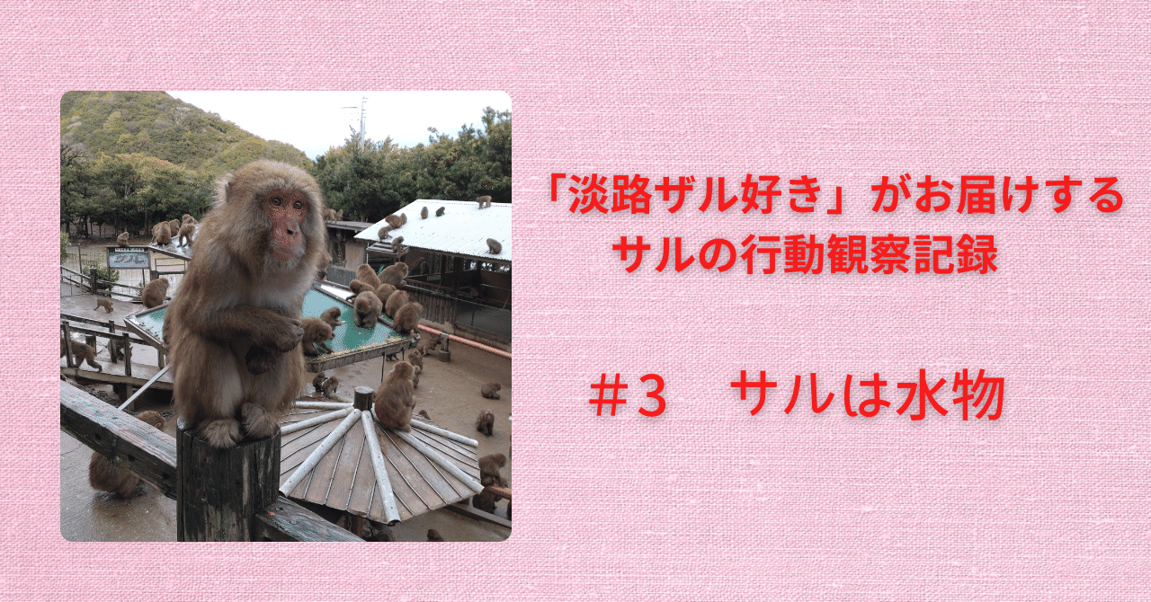 3 サルは水物🐵｜sora.11