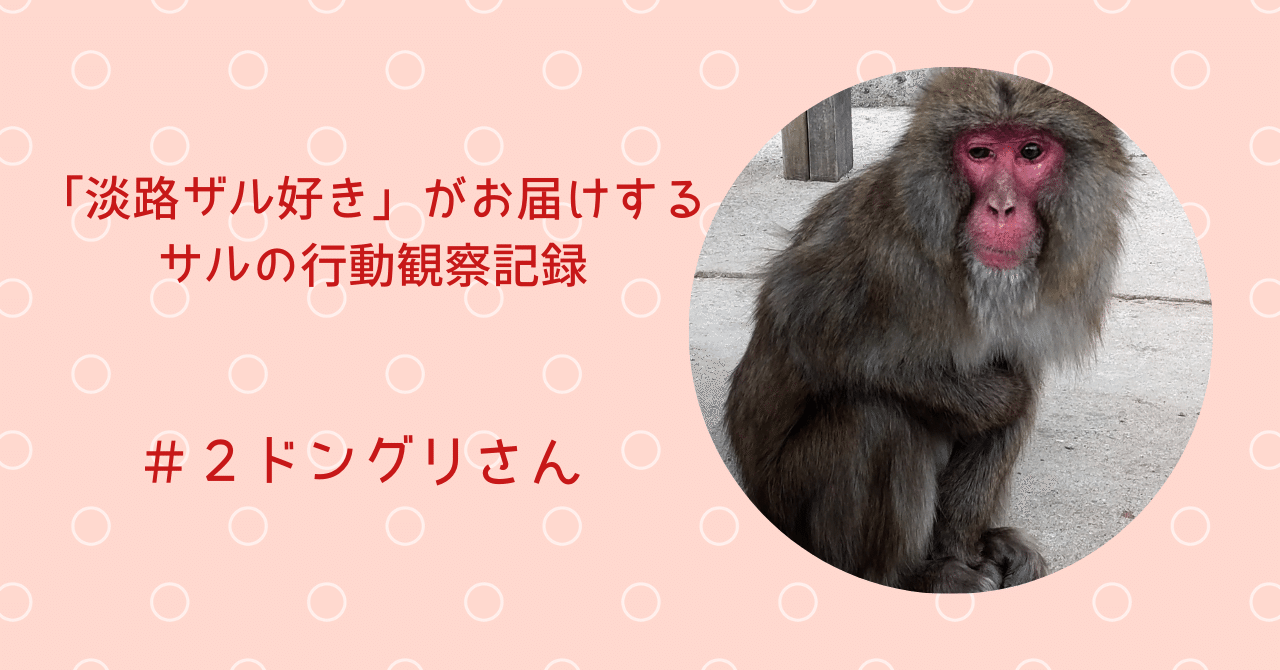 2 ドングリさん🐵｜sora.11