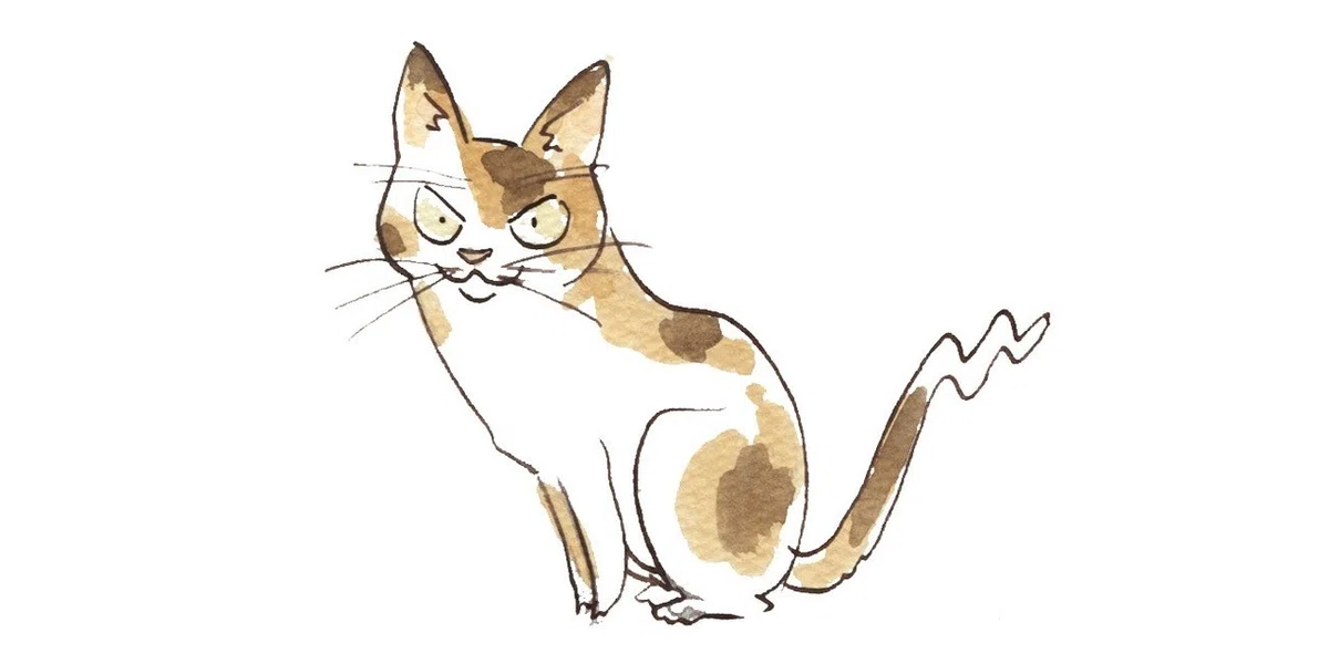 画像19