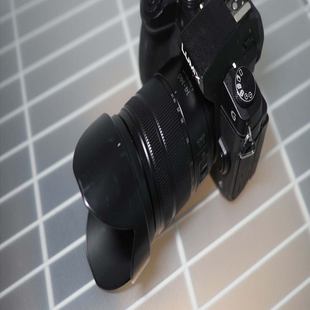 レンズレビュー】LUMIX G VARIO 14-140mm F3.5-5.6 ASPH. POWER.O.I.S.｜鷺