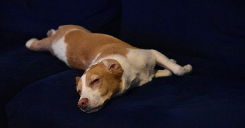 カメラのほしくなる人生 古賀史健 Note