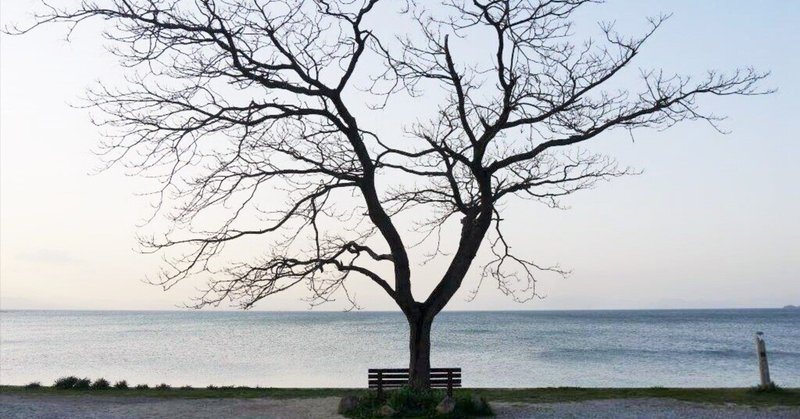 ドキュメント72時間アーカイブ　　　　　　 　琵琶湖畔“あのベンチ”、座る人の思いとは？  